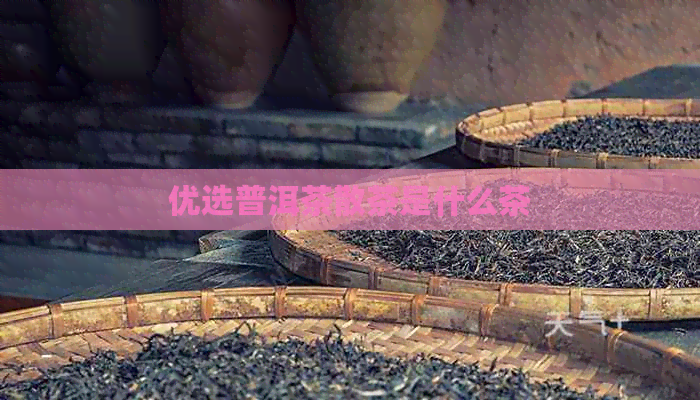 优选普洱茶散茶是什么茶