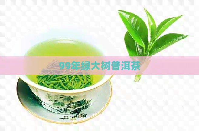 99年绿大树普洱茶