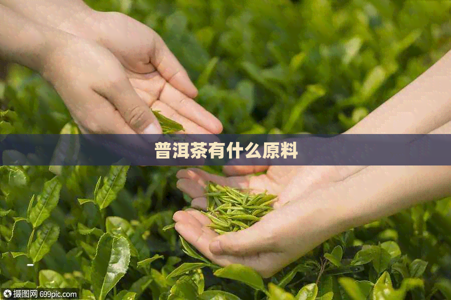 普洱茶有什么原料