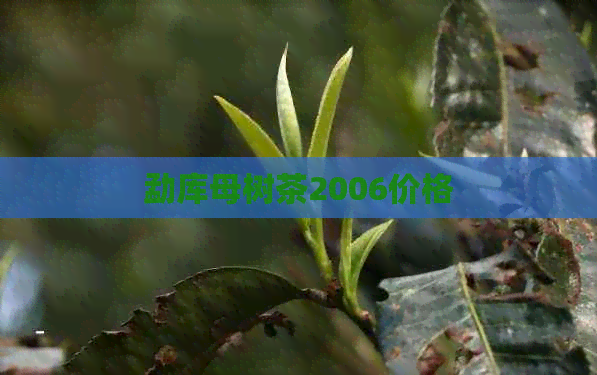 勐库母树茶2006价格