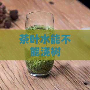 茶叶水能不能浇树