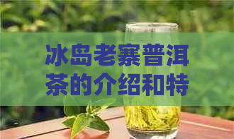 冰岛老寨普洱茶的介绍和特点