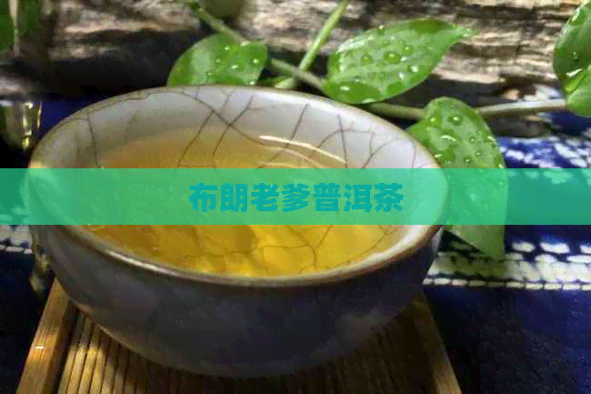 布朗老爹普洱茶