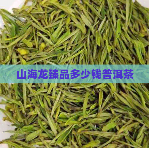 山海龙臻品多少钱普洱茶