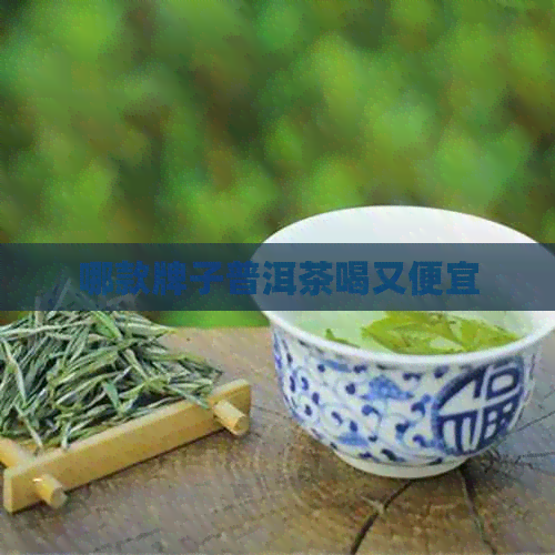 哪款牌子普洱茶喝又便宜