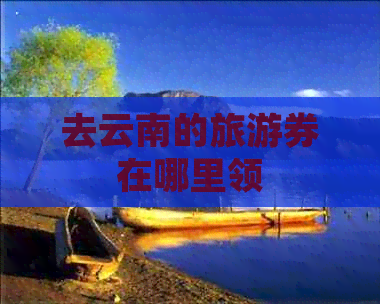 去云南的旅游券在哪里领