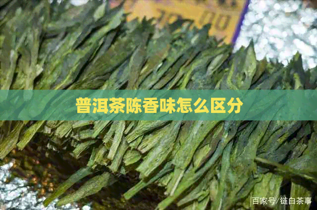 普洱茶陈香味怎么区分