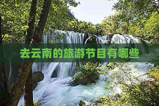 去云南的旅游节目有哪些