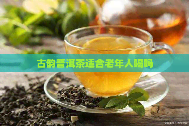 古韵普洱茶适合老年人喝吗