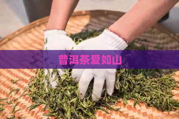 普洱茶爱如山