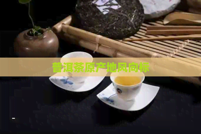 普洱茶原产地风向标