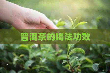 普洱茶的喝法功效