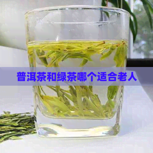 普洱茶和绿茶哪个适合老人