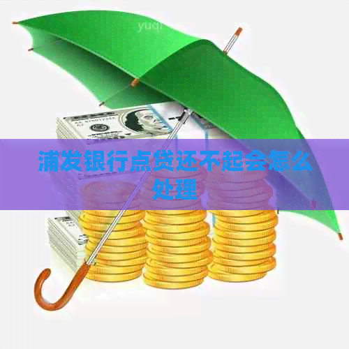 浦发银行点贷还不起会怎么处理