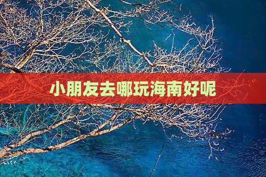 小朋友去哪玩海南好呢