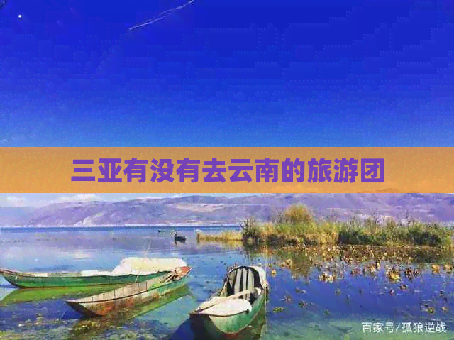 三亚有没有去云南的旅游团