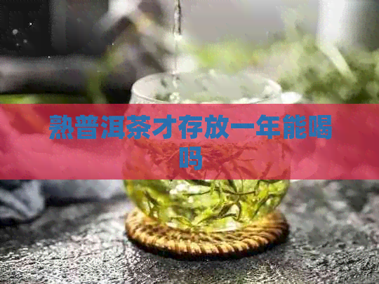 熟普洱茶才存放一年能喝吗