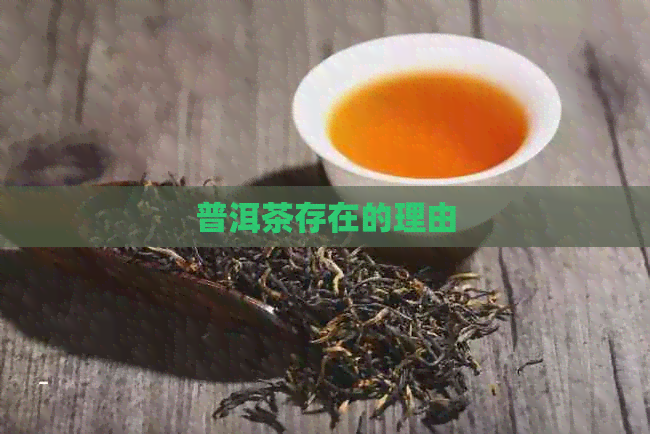 普洱茶存在的理由