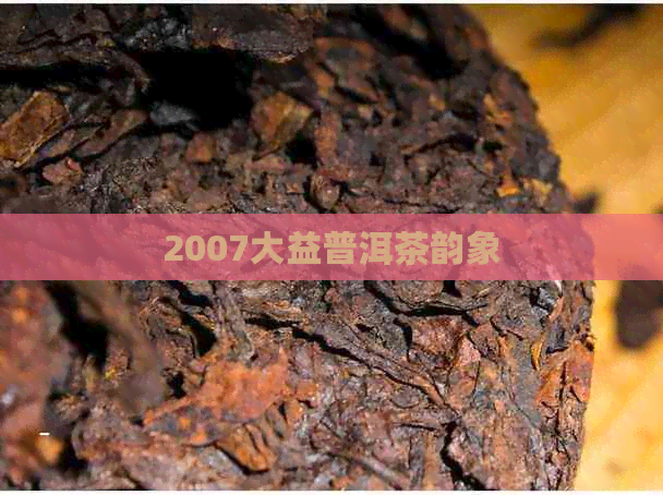 2007大益普洱茶韵象