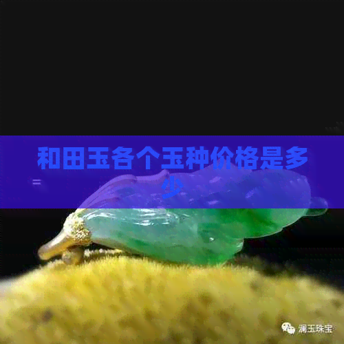 和田玉各个玉种价格是多少