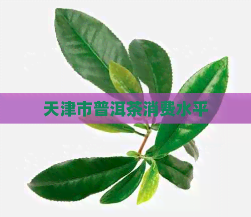 天津市普洱茶消费水平