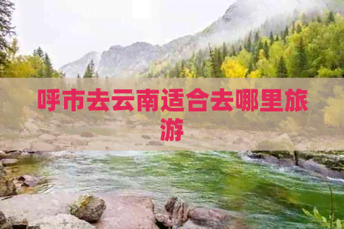 呼市去云南适合去哪里旅游