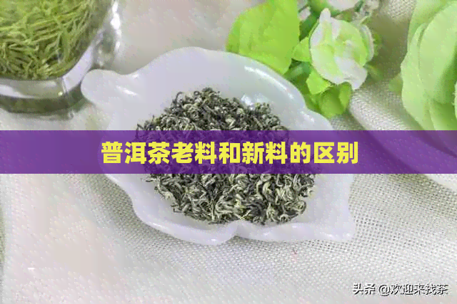 普洱茶老料和新料的区别