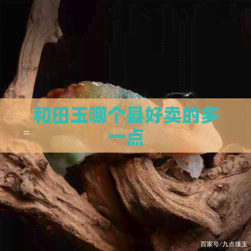 和田玉哪个县好卖的多一点