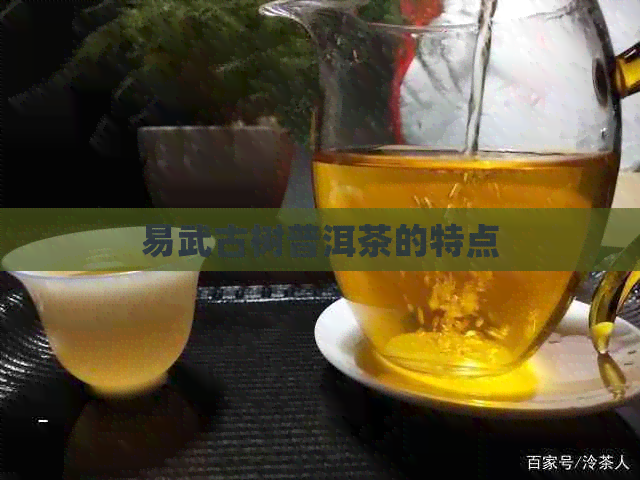 易武古树普洱茶的特点