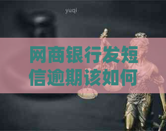 网商银行发短信逾期该如何处理