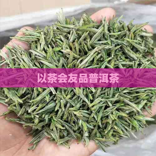 以茶会友品普洱茶