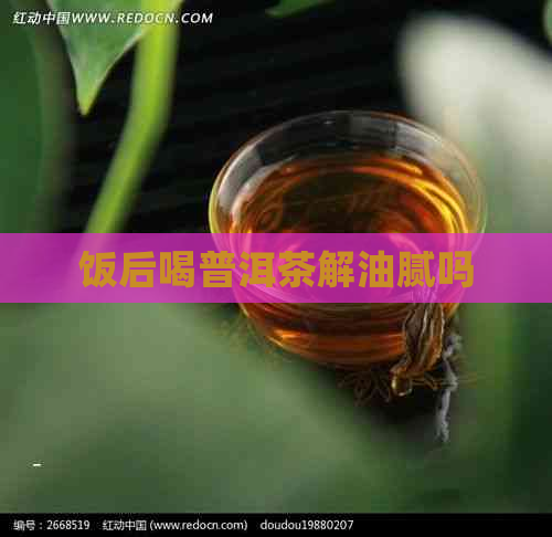 饭后喝普洱茶解油腻吗