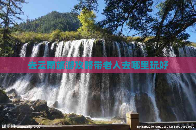 去云南旅游攻略带老人去哪里玩好