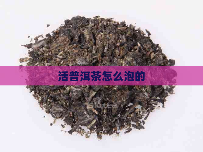 活普洱茶怎么泡的