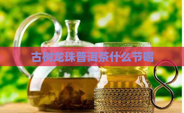 古树龙珠普洱茶什么节喝