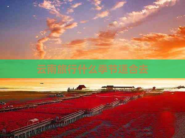 云南旅行什么季节适合去