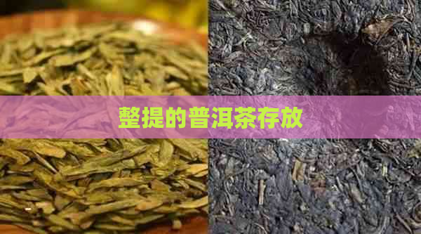 整提的普洱茶存放