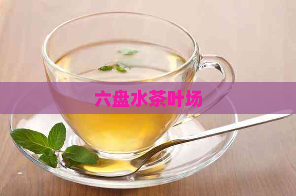 六盘水茶叶场