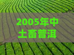 2005年中土畜普洱茶