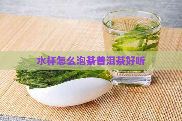 水杯怎么泡茶普洱茶好听