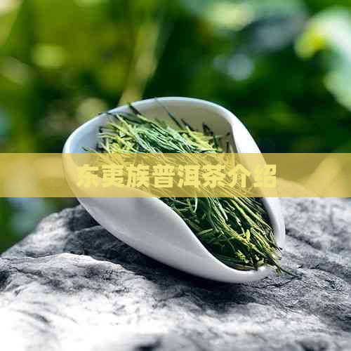 东夷族普洱茶介绍