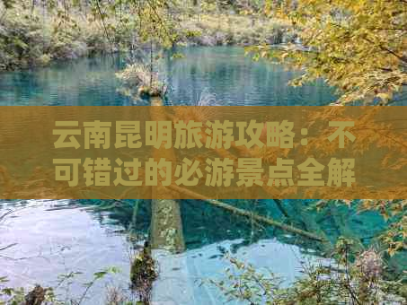 云南昆明旅游攻略：不可错过的必游景点全解析，为你量身定制完美行程