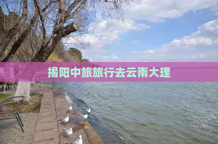 揭阳中旅旅行去云南大理