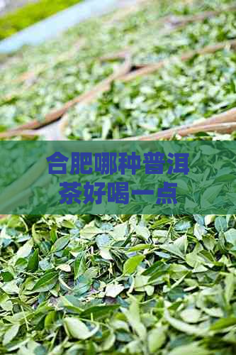 合肥哪种普洱茶好喝一点