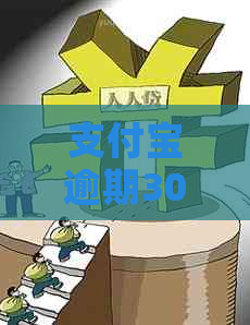 支付宝逾期30万还不起怎么办