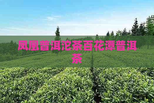 凤凰普洱沱茶百花潭普洱茶