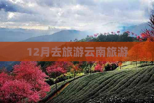 12月去旅游云南旅游