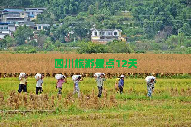 四川旅游景点12天