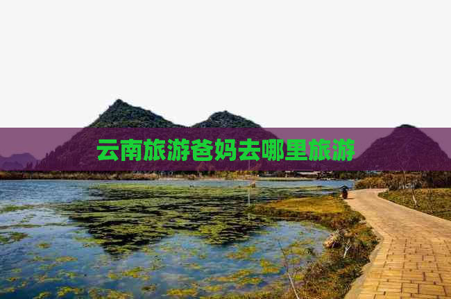 云南旅游爸妈去哪里旅游