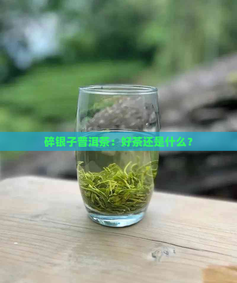 碎银子普洱茶：好茶还是什么？